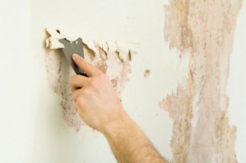 Как шпаклевать стены под обои: видео-инструкция как зашпаклевать своими руками, цена, фото