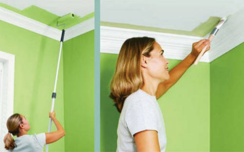 Покраска стен на кухне: фото готовых интерьеров. Как и чем покрыть стены лучше? Технология росписи акриловыми красками