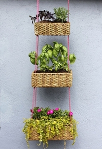 Балконные ящики для цветов - пластиковые, деревянные, руководство по выбору