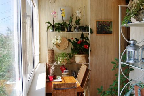 Цветы на балконе (75 фото): балконные ящики с вьющимися растениями для оформления, петуния и зимний сад