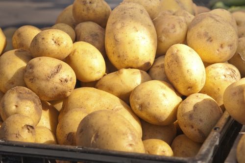 Домашние картофельные чипсы: рецепт для духовки и микроволновки