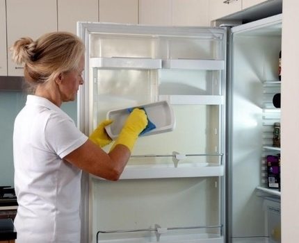 Холодильник «Дон»: отзывы, обзор плюсов и минусов, сравнение с другими производителями