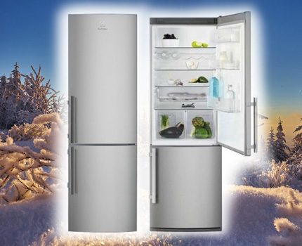 Холодильники «Электролюкс» (Electrolux): отзывы, советы по выбору + лучшие модели