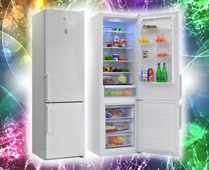 Холодильники «Норд» (Nord): отзывы, лучшие модели, на что смотреть перед покупкой