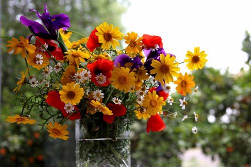 Как продлить жизнь букету, чтобы цветы дольше стояли?