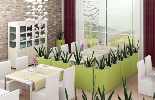 Комнатные растения в интерьере квартиры - интересные варианты оформления (55 фото): роль искусственных цветов, орхидеи
