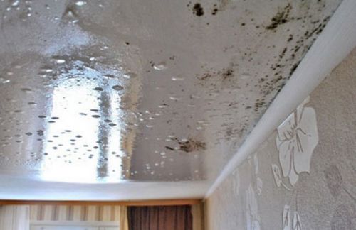 Конденсат на потолке в частном доме - причины появления и методы борьбы