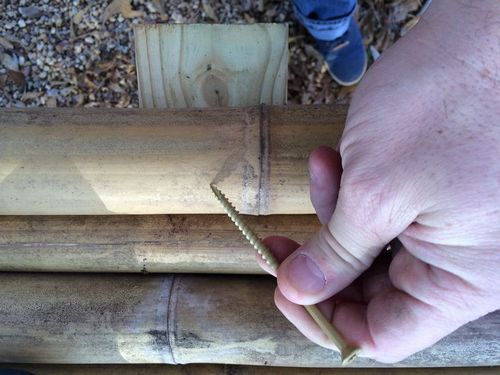 Забор из бамбука своими руками: фото, видео